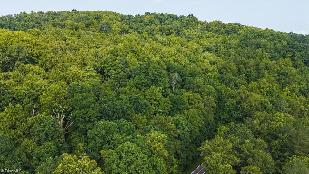 Single Family Residence at TBD Brushy Mountain Road, Moravian Falls NC 28654, photo 24 of 26