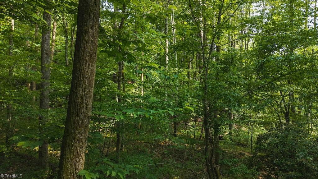 Single Family Residence at TBD Brushy Mountain Road, Moravian Falls NC 28654, photo 15 of 26