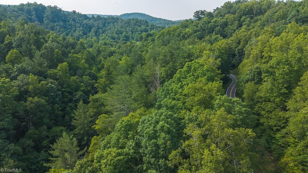 Single Family Residence at TBD Brushy Mountain Road, Moravian Falls NC 28654, photo 4 of 26