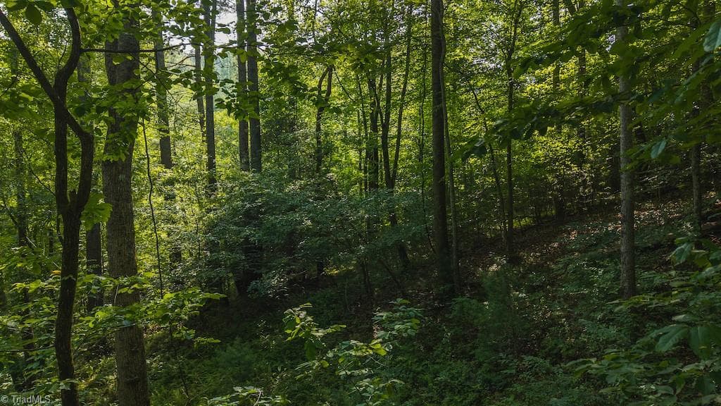 Single Family Residence at TBD Brushy Mountain Road, Moravian Falls NC 28654, photo 21 of 26