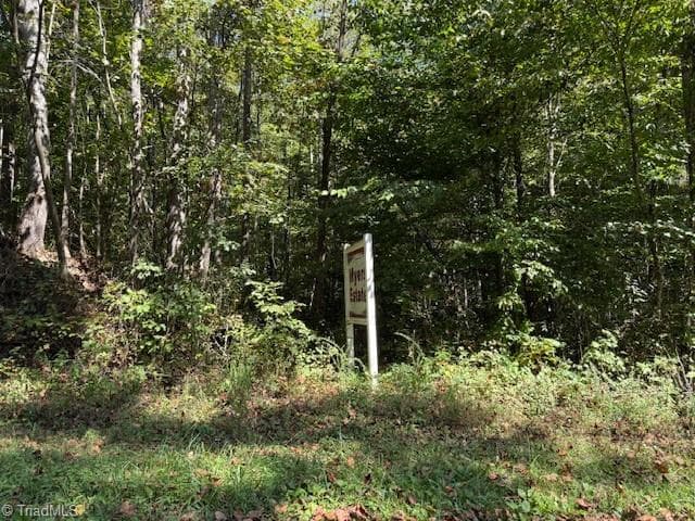 Single Family Residence at 2 Arlie Myers Store Road, McGrady NC 28649, McGrady, photo 6 of 7