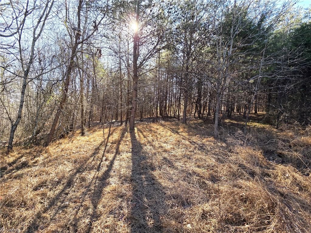Single Family Residence at xx- 19 acres+- NC Highway 268, Pinnacle NC 27043, photo 3 of 7