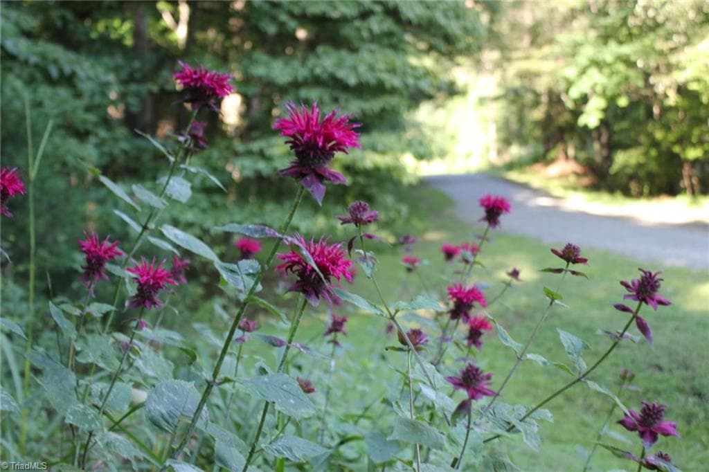 Agriculture at 469 Justamere Farm Road, Greensboro NC 27455, photo 6 of 36