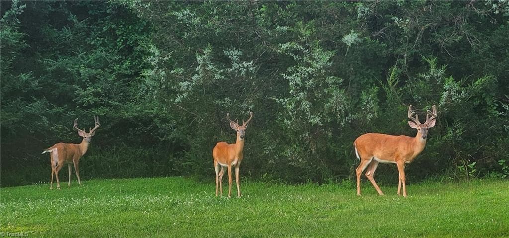 Agriculture at 469 Justamere Farm Road, Greensboro NC 27455, photo 7 of 36