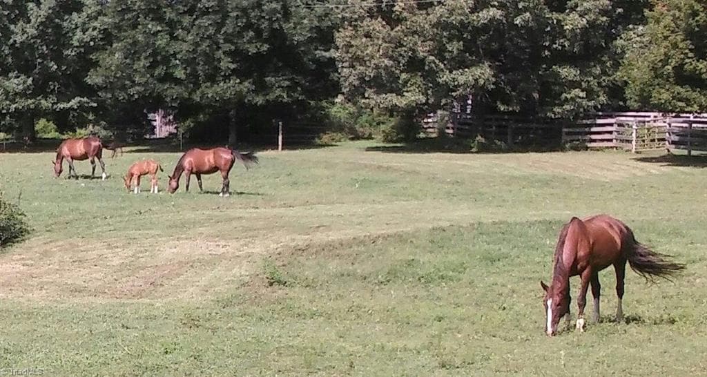 Agriculture at 469 Justamere Farm Road, Greensboro NC 27455, photo 28 of 36