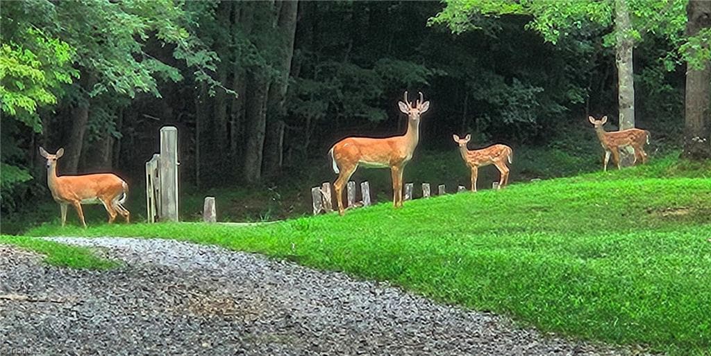 Agriculture at 469 Justamere Farm Road, Greensboro NC 27455, photo 29 of 36