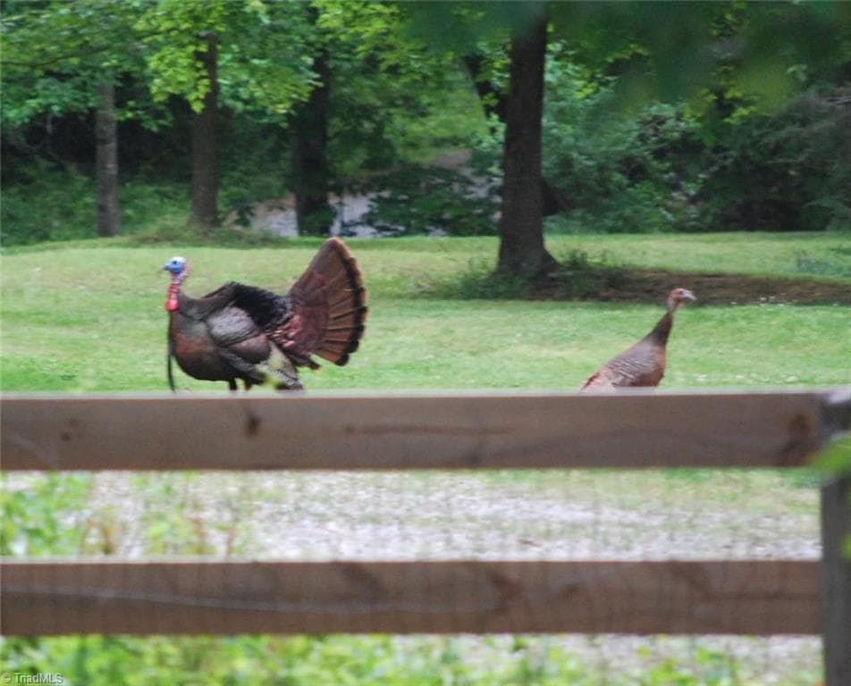 Agriculture at 469 Justamere Farm Road, Greensboro NC 27455, photo 4 of 36