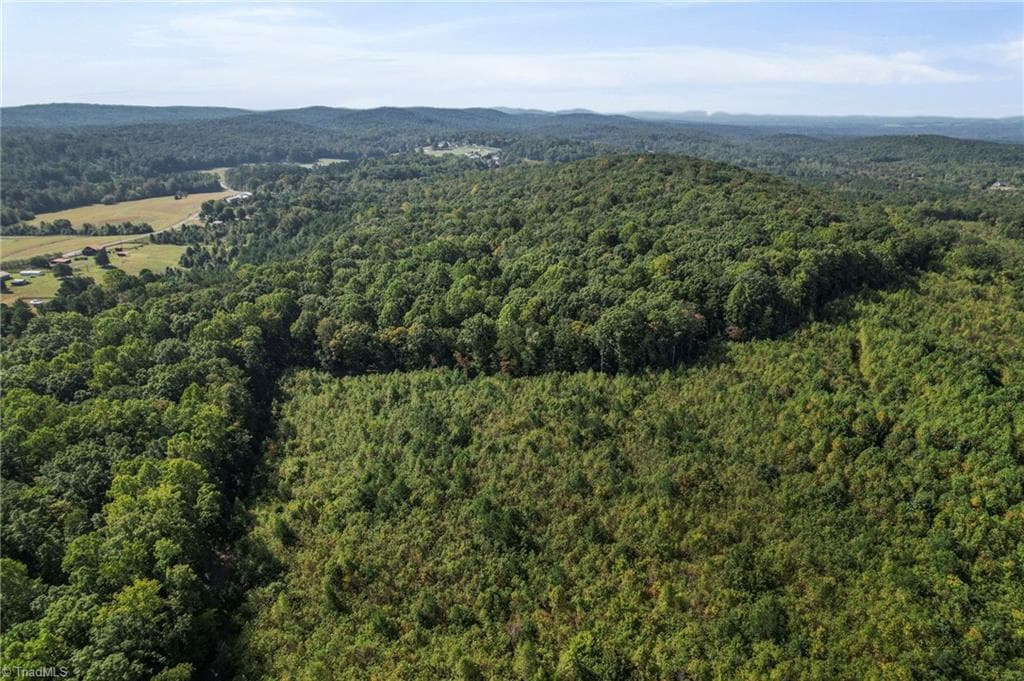 Unimproved Land at 2272 Doul Mountain Road, Asheboro NC 27205, photo 17 of 27