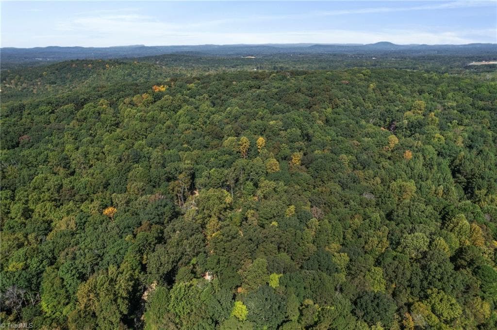 Unimproved Land at 2272 Doul Mountain Road, Asheboro NC 27205, photo 3 of 27