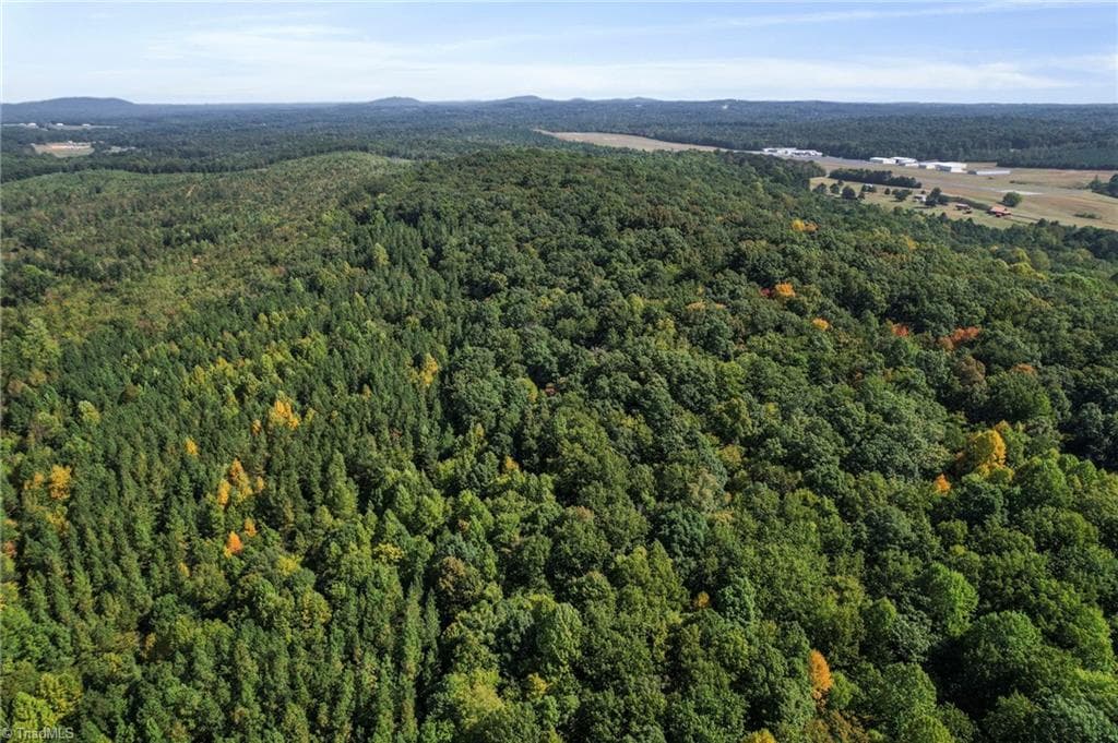 Unimproved Land at 2272 Doul Mountain Road, Asheboro NC 27205, photo 24 of 27