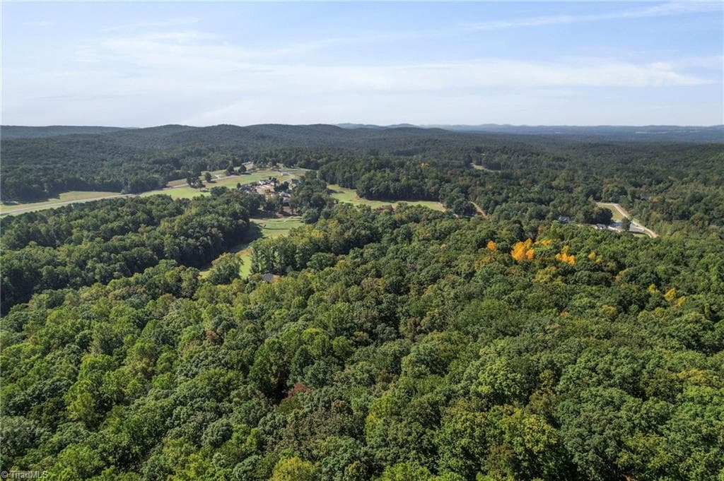 Unimproved Land at 2272 Doul Mountain Road, Asheboro NC 27205, photo 18 of 27