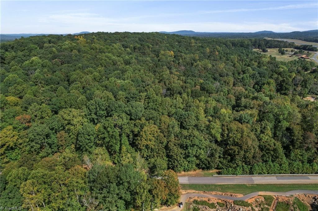 Unimproved Land at 2272 Doul Mountain Road, Asheboro NC 27205, photo 8 of 27