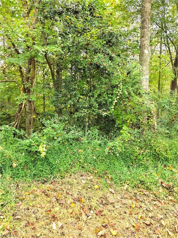 Single Family Residence at Lot 1 Holder Street, Hays NC 28635, photo 4 of 6