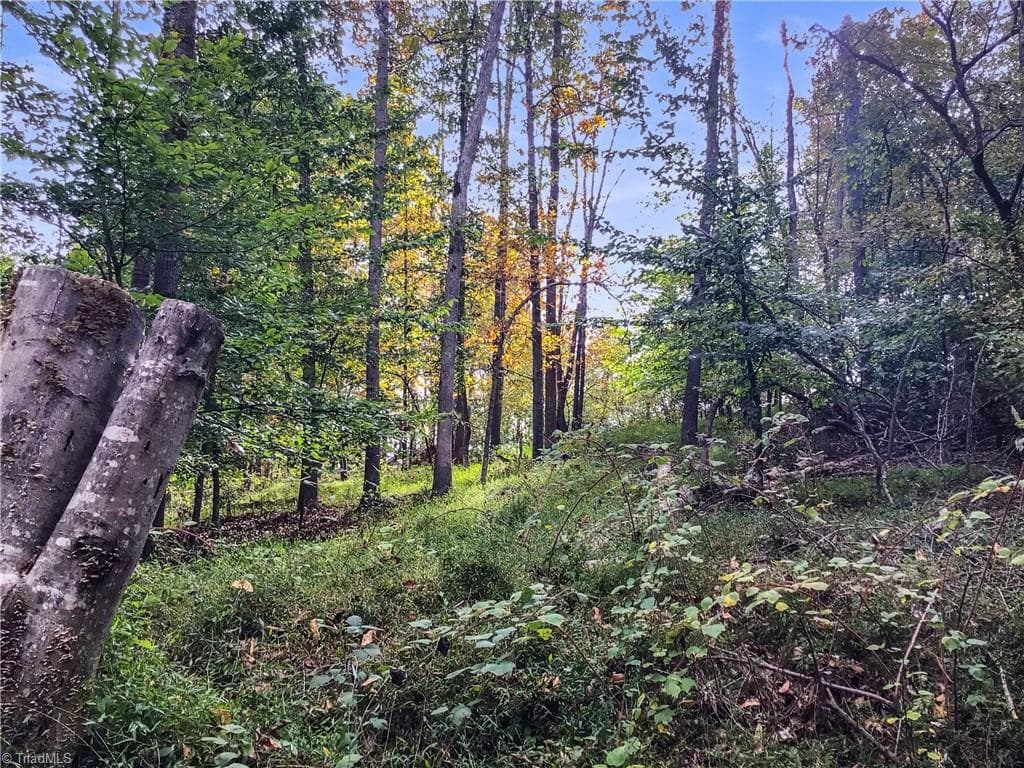 Unimproved Land at 0 E Main Street, Elkin NC 28621, photo 12 of 14