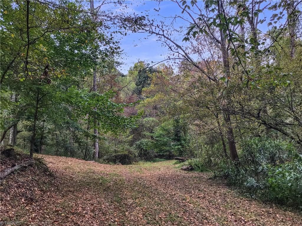 Unimproved Land at 0 E Main Street, Elkin NC 28621, photo 9 of 14