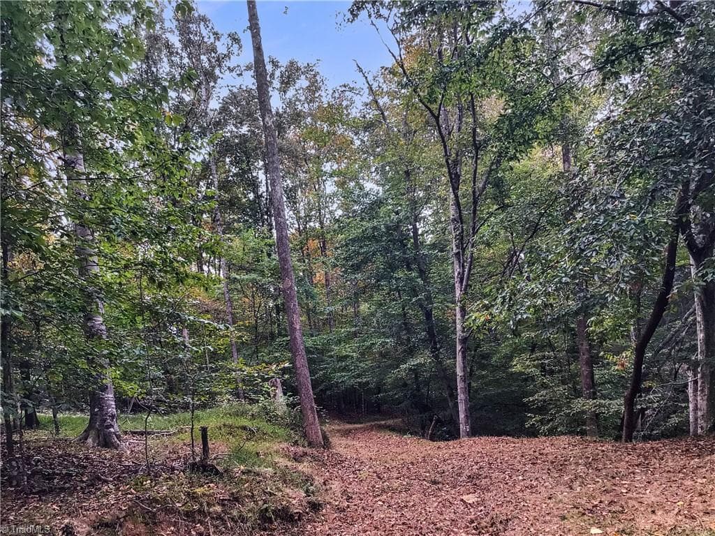 Unimproved Land at 0 E Main Street, Elkin NC 28621, photo 10 of 14