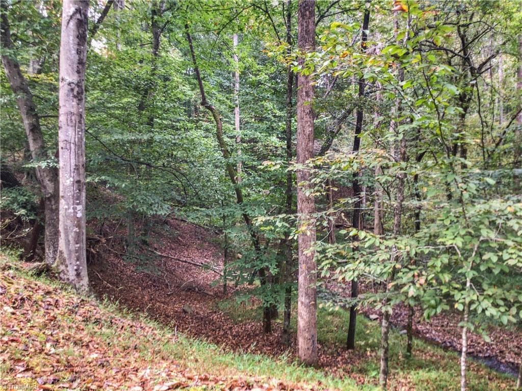Unimproved Land at 0 E Main Street, Elkin NC 28621, photo 11 of 14