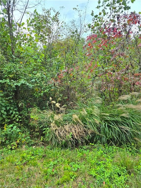 Single Family Residence at 000 Holly Brook Street, North Wilkesboro NC 28659, photo 5 of 7