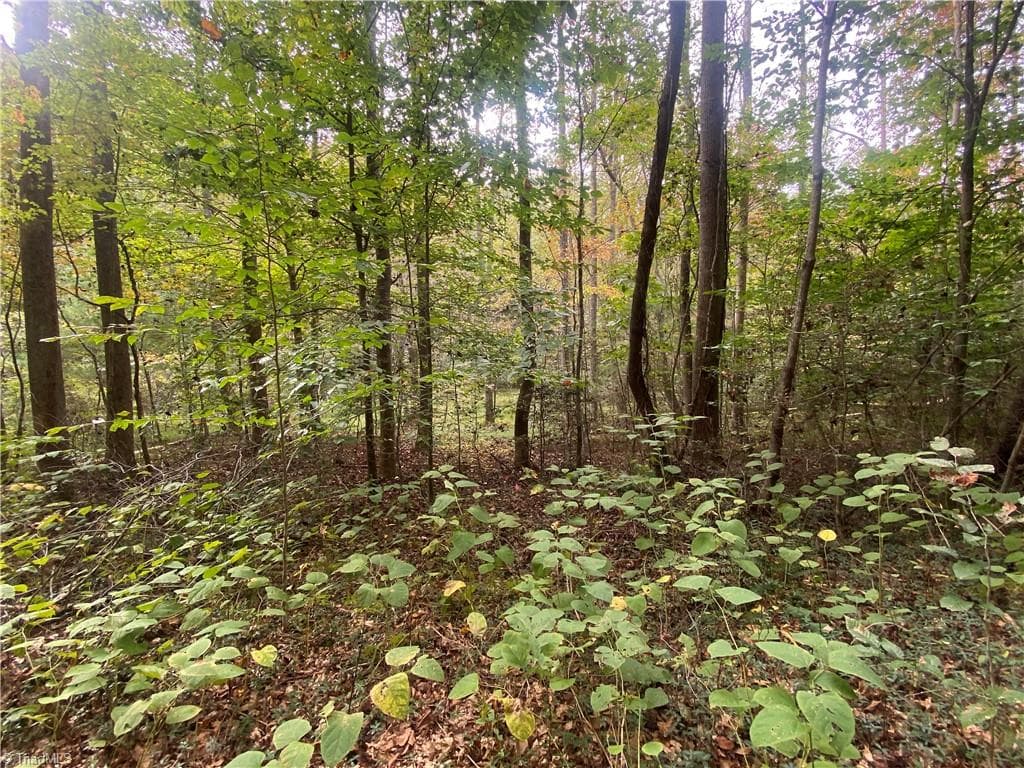 00 Bear Hollow Lane, North Wilkesboro NC 28659