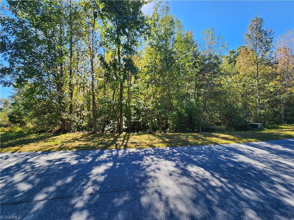 485 Saddlebred Loop, Stokesdale NC 27357