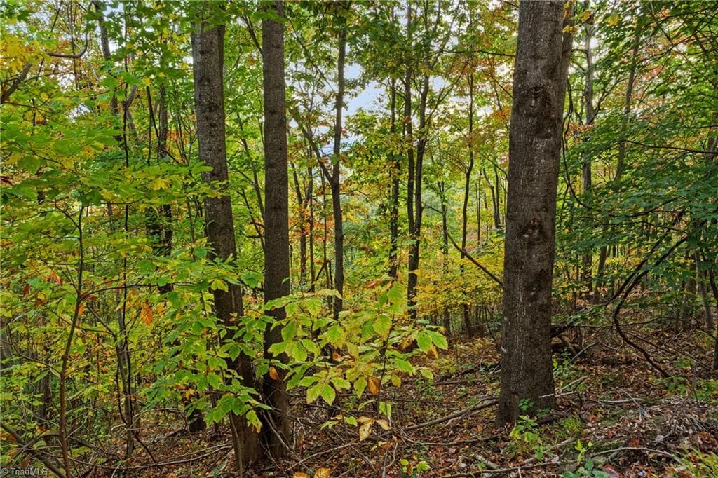 Single Family Residence at Lot 16 Little Ivy Lane, Deep Gap NC 28618, photo 2 of 13