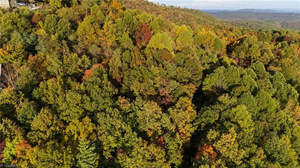 Single Family Residence at Lot 16 Little Ivy Lane, Deep Gap NC 28618, photo 11 of 13