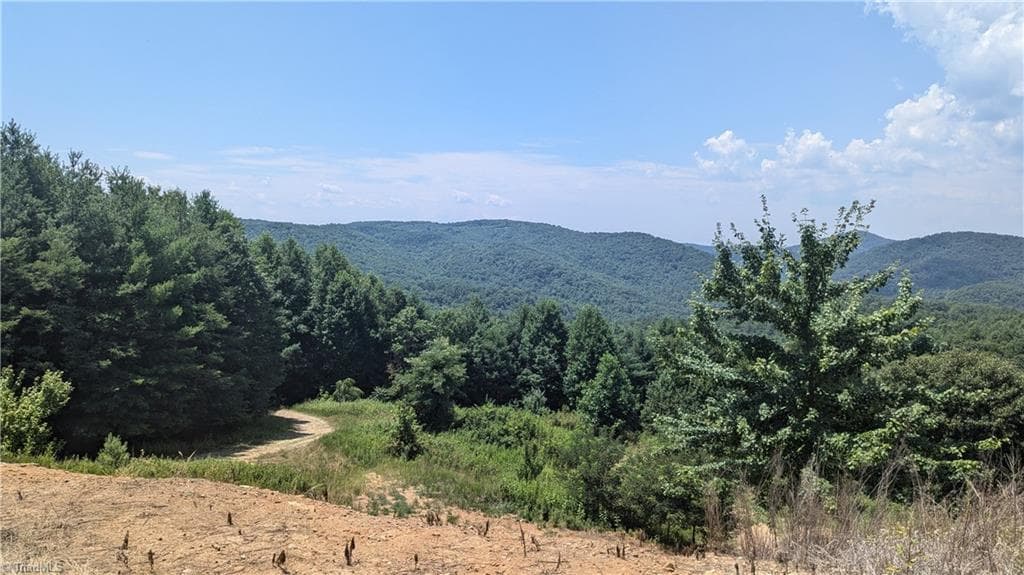 Unimproved Land at 1501 Buckwheat Road, McGrady NC 28649, photo 12 of 50