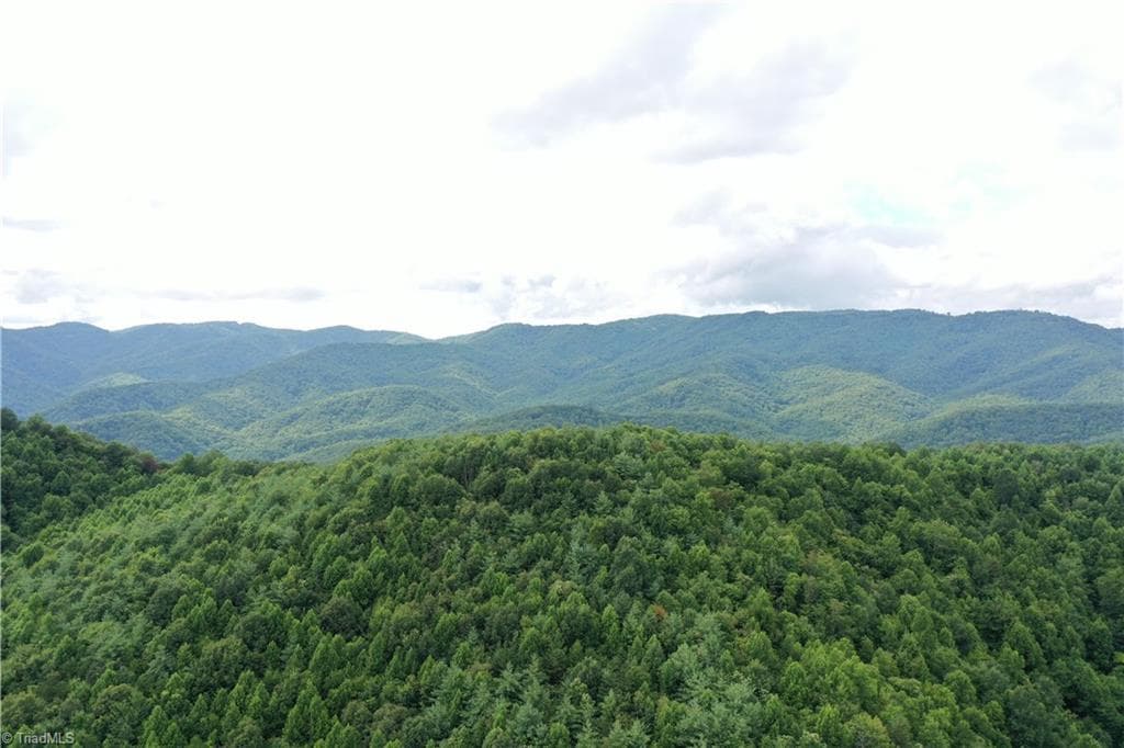 Unimproved Land at 1501 Buckwheat Road, McGrady NC 28649, photo 3 of 50