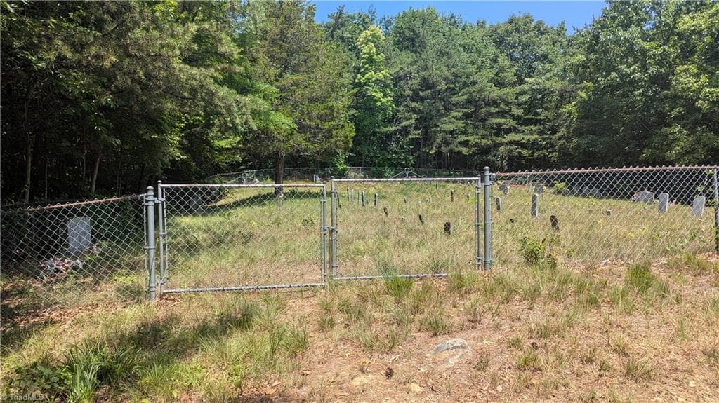 Unimproved Land at 1501 Buckwheat Road, McGrady NC 28649, photo 32 of 50