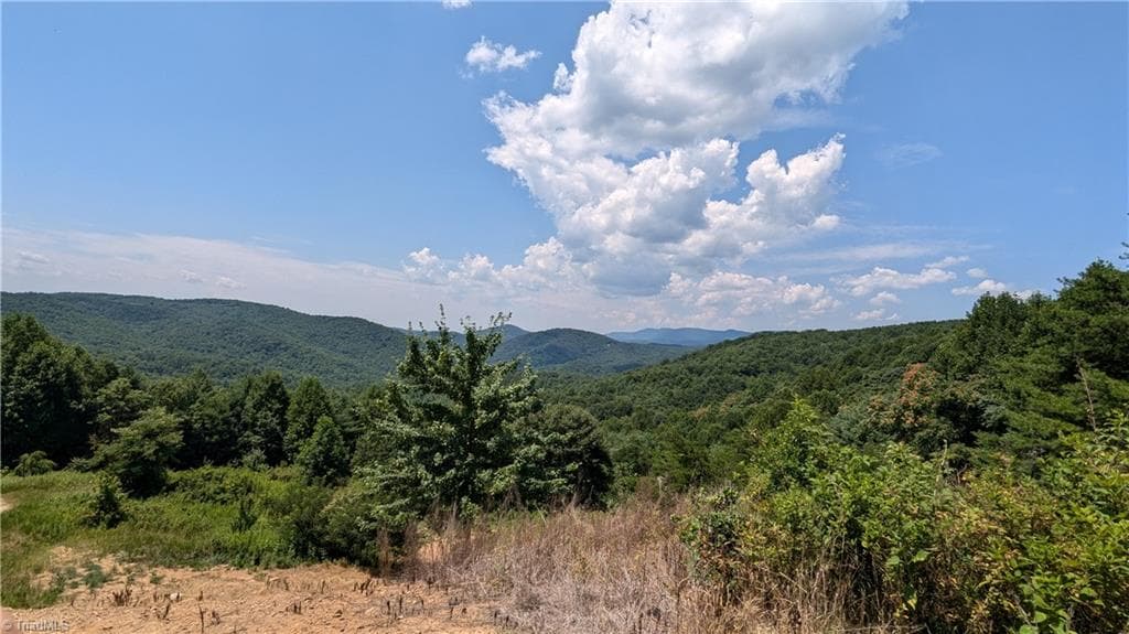 Unimproved Land at 1501 Buckwheat Road, McGrady NC 28649, photo 15 of 50