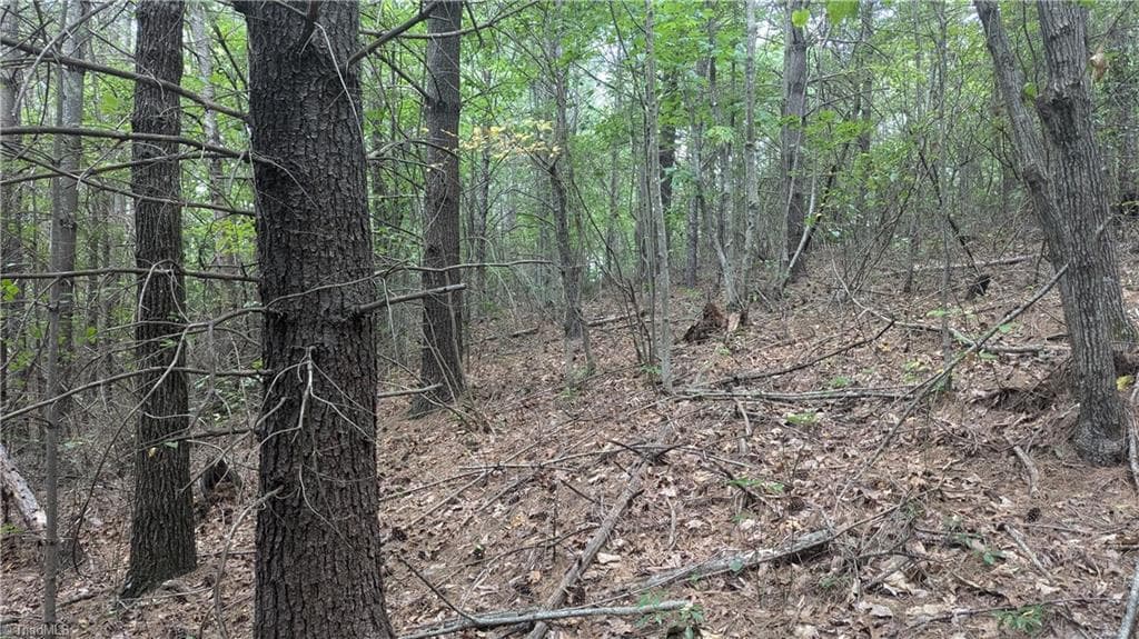 Unimproved Land at 1501 Buckwheat Road, McGrady NC 28649, photo 44 of 50