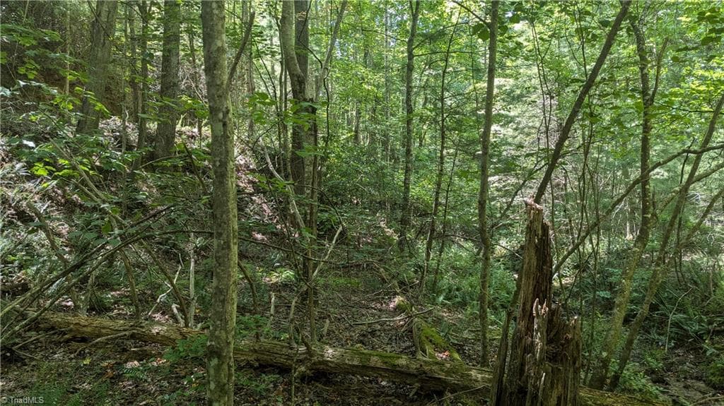 Unimproved Land at 1501 Buckwheat Road, McGrady NC 28649, photo 21 of 50
