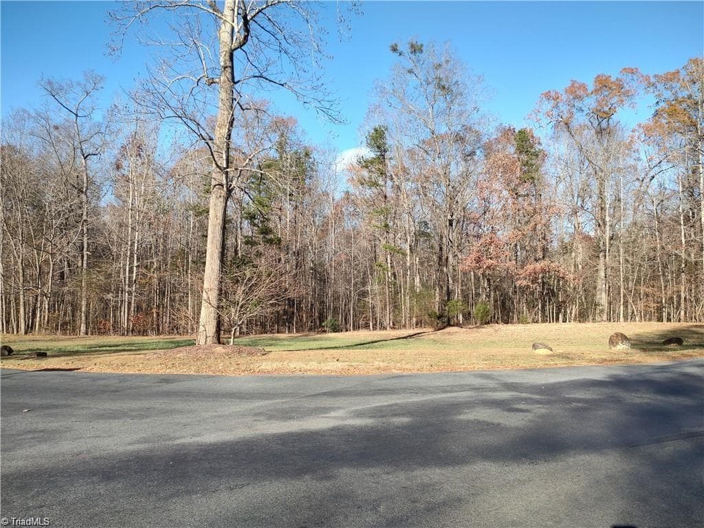 Unimproved Land at 102 Harborgate Drive, Denton NC 27239, Denton, photo 2 of 2