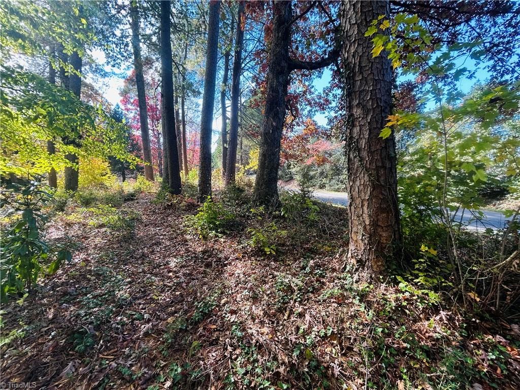 Single Family Residence at TBD Old Springs Road, Mount Airy NC 27030, Mount Airy, photo 11 of 32