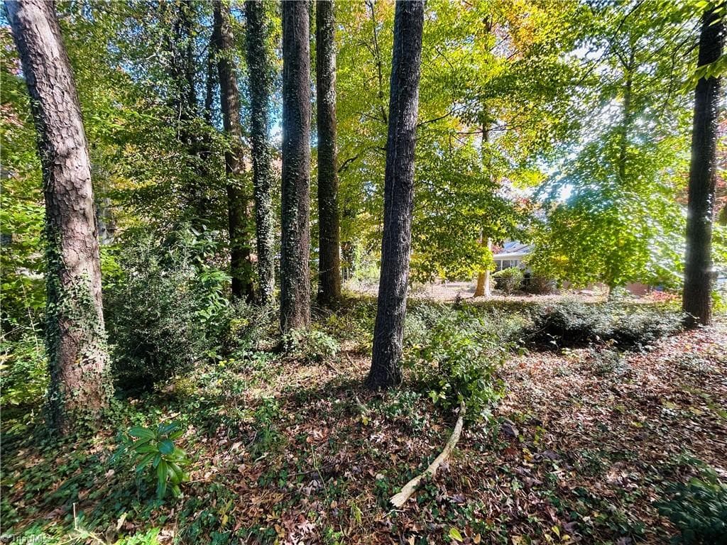 Single Family Residence at TBD Old Springs Road, Mount Airy NC 27030, Mount Airy, photo 13 of 32