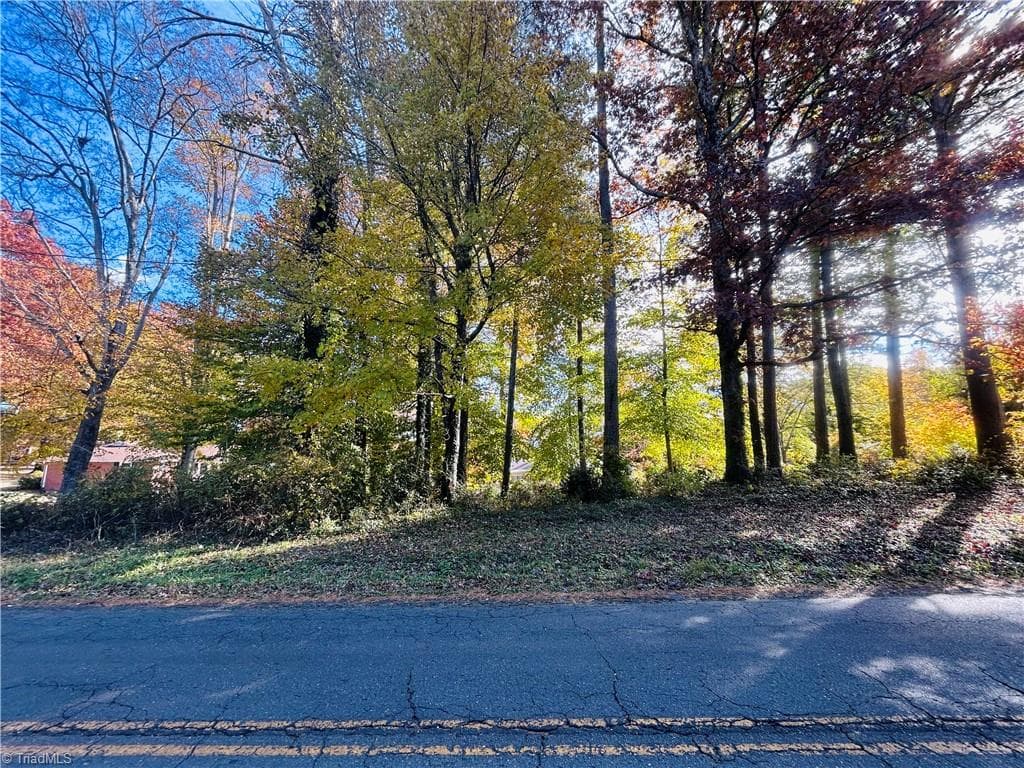 Single Family Residence at TBD Old Springs Road, Mount Airy NC 27030, Mount Airy, photo 5 of 32