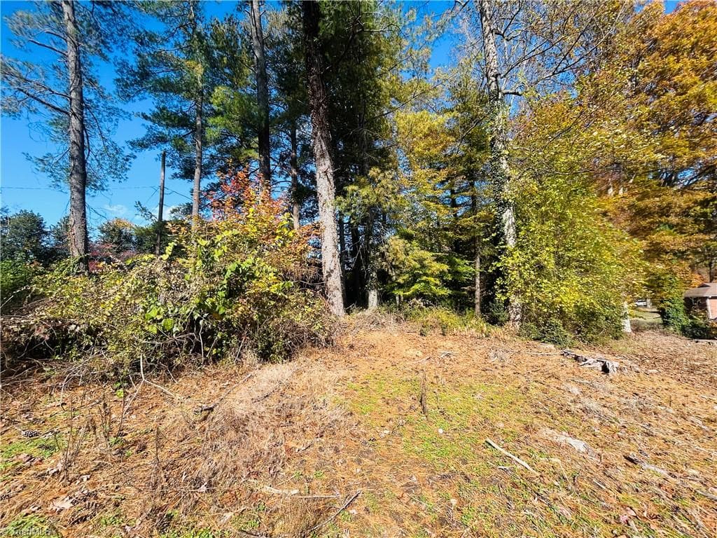 Single Family Residence at TBD Old Springs Road, Mount Airy NC 27030, Mount Airy, photo 17 of 32