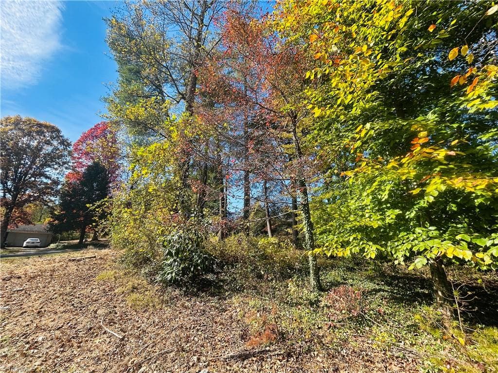 Single Family Residence at TBD Old Springs Road, Mount Airy NC 27030, Mount Airy, photo 19 of 32