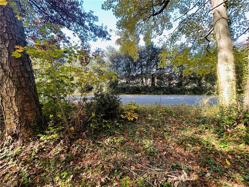 Single Family Residence at TBD Old Springs Road, Mount Airy NC 27030, Mount Airy, photo 29 of 32