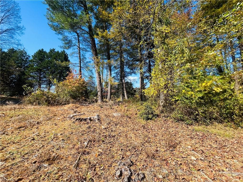 Single Family Residence at TBD Old Springs Road, Mount Airy NC 27030, Mount Airy, photo 21 of 32