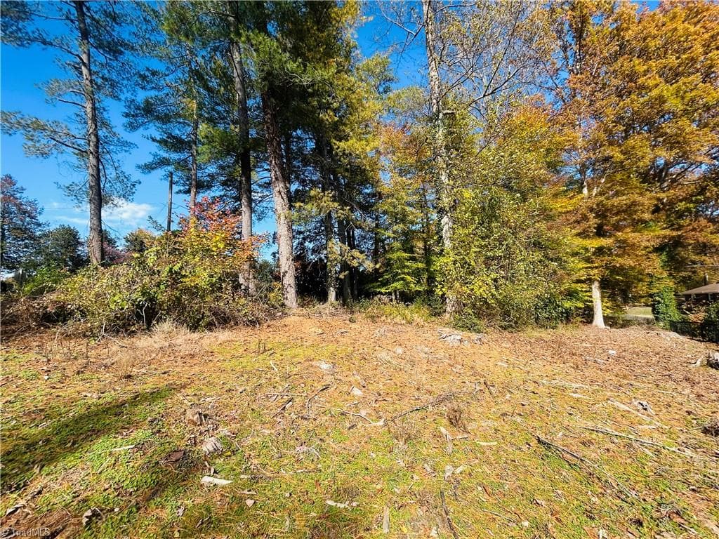 Single Family Residence at TBD Old Springs Road, Mount Airy NC 27030, Mount Airy, photo 15 of 32