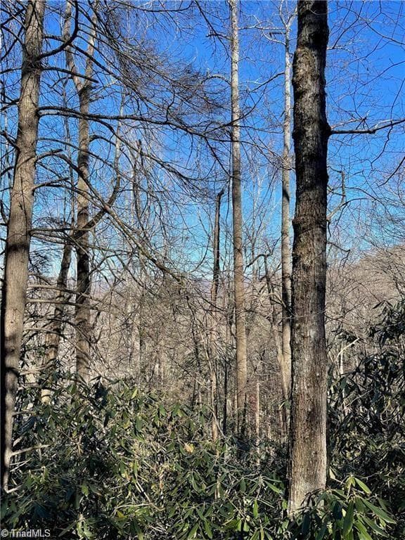 Single Family Residence at Lot E-15 Laurel Ridge Road, Banner Elk NC 28604, photo 2 of 9