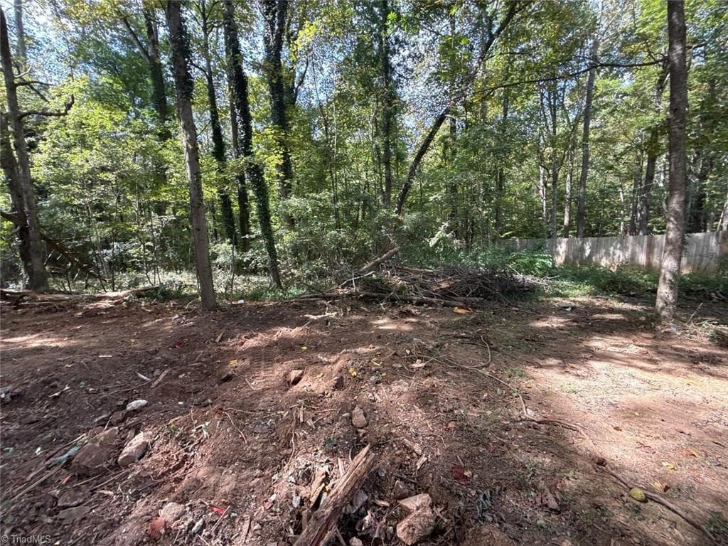 Single Family Residence at 0 Yukon Road, Walkertown NC 27051, photo 3 of 10