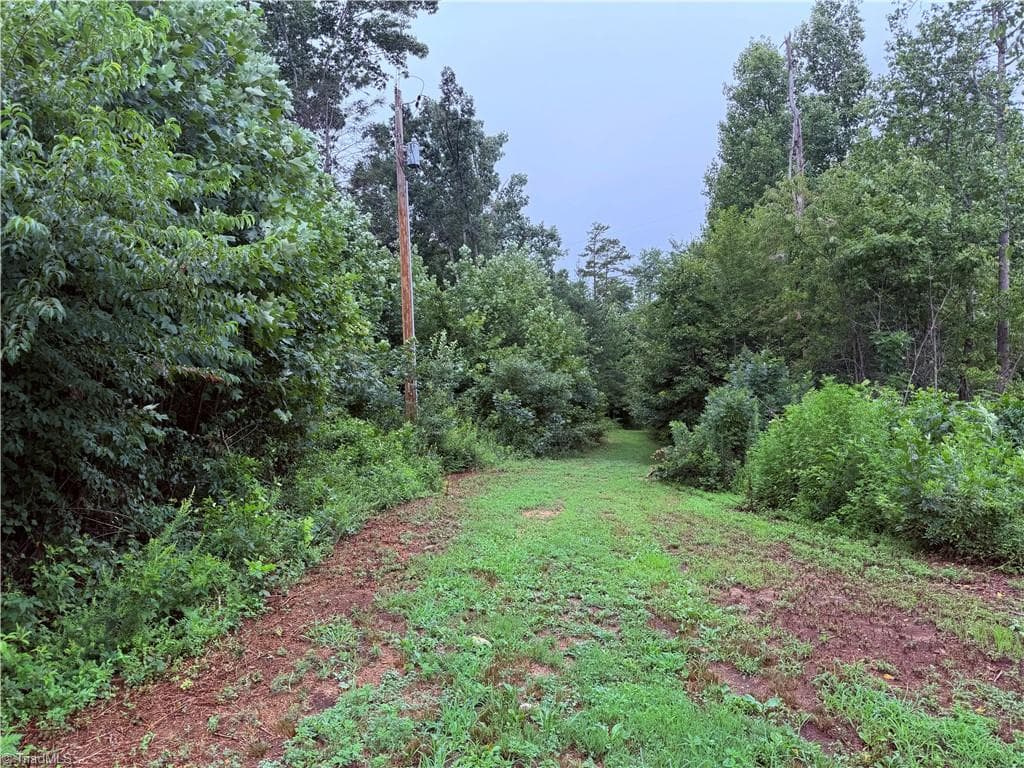 Unimproved Land at TBD Billings Hill Church Road, Traphill NC 28685, photo 25 of 26