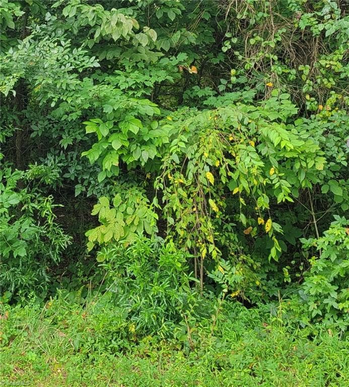 0 AMBRIDGE Drive, Kernersville NC 27284