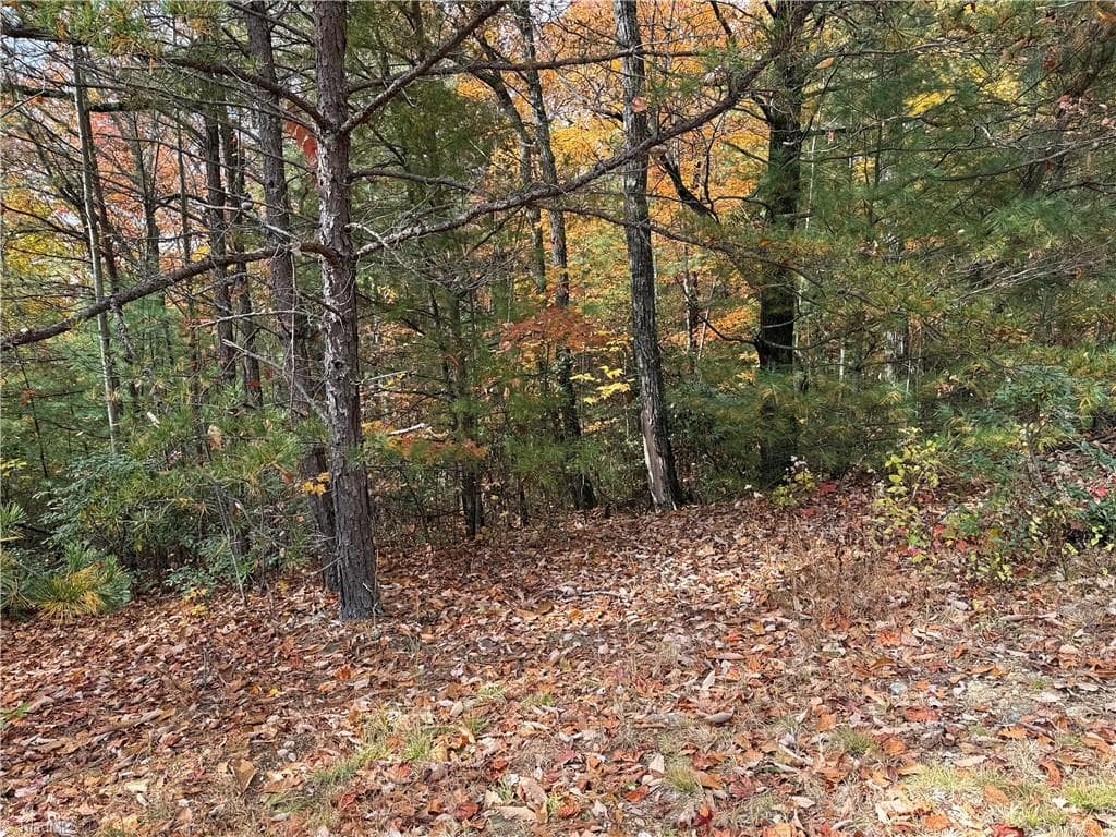 Single Family Residence at Lot 209 Casey Mountain Road, Purlear NC 28665, Purlear, photo 6 of 30