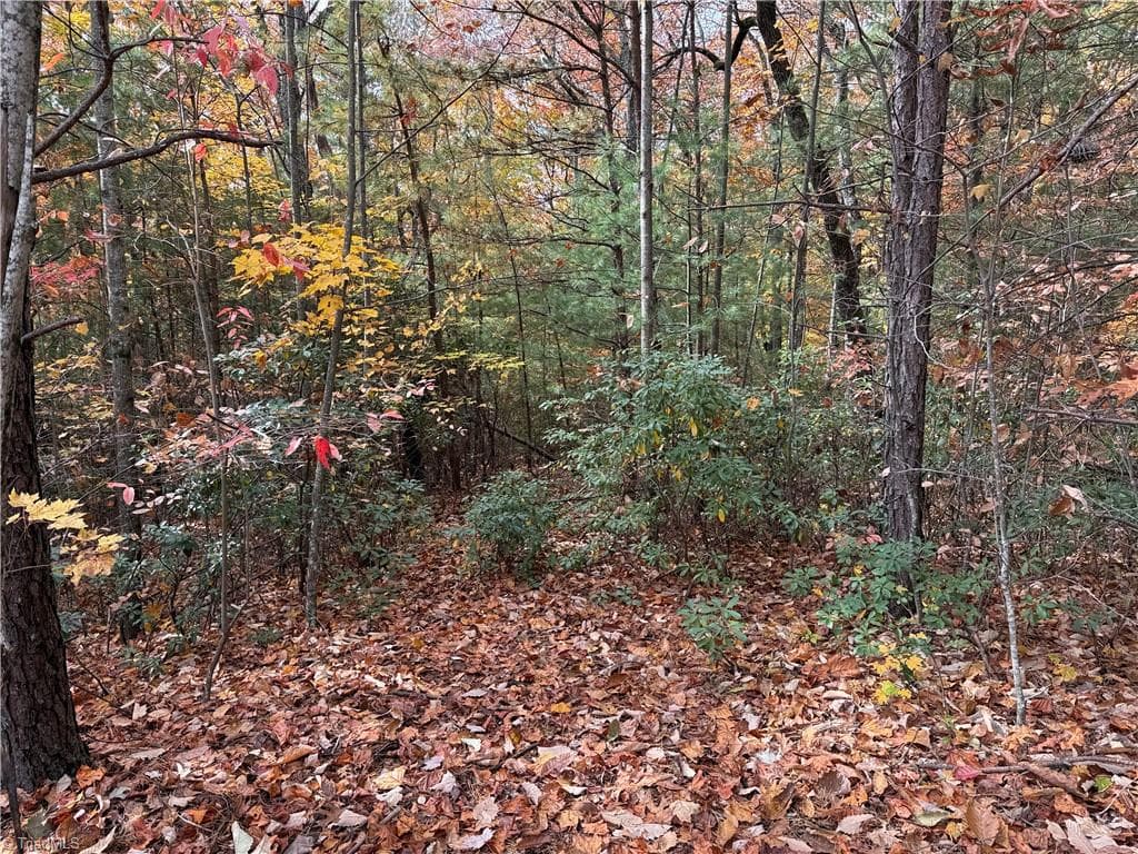 Single Family Residence at Lot 209 Casey Mountain Road, Purlear NC 28665, Purlear, photo 7 of 30
