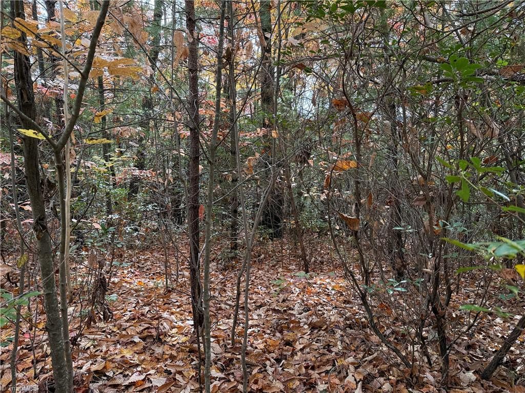 Single Family Residence at Lot 209 Casey Mountain Road, Purlear NC 28665, Purlear, photo 3 of 30