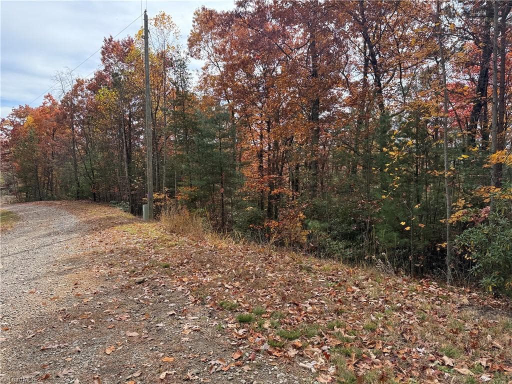 Single Family Residence at Lot 209 Casey Mountain Road, Purlear NC 28665, Purlear, photo 5 of 30