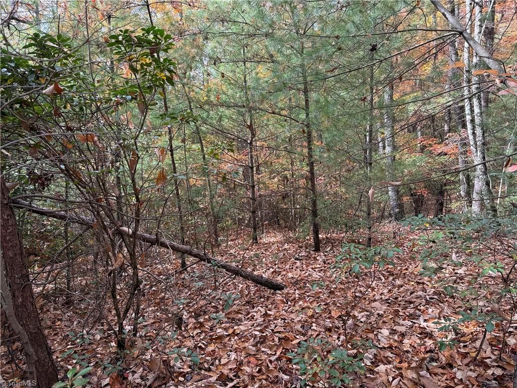 Single Family Residence at Lot 209 Casey Mountain Road, Purlear NC 28665, Purlear, photo 8 of 30